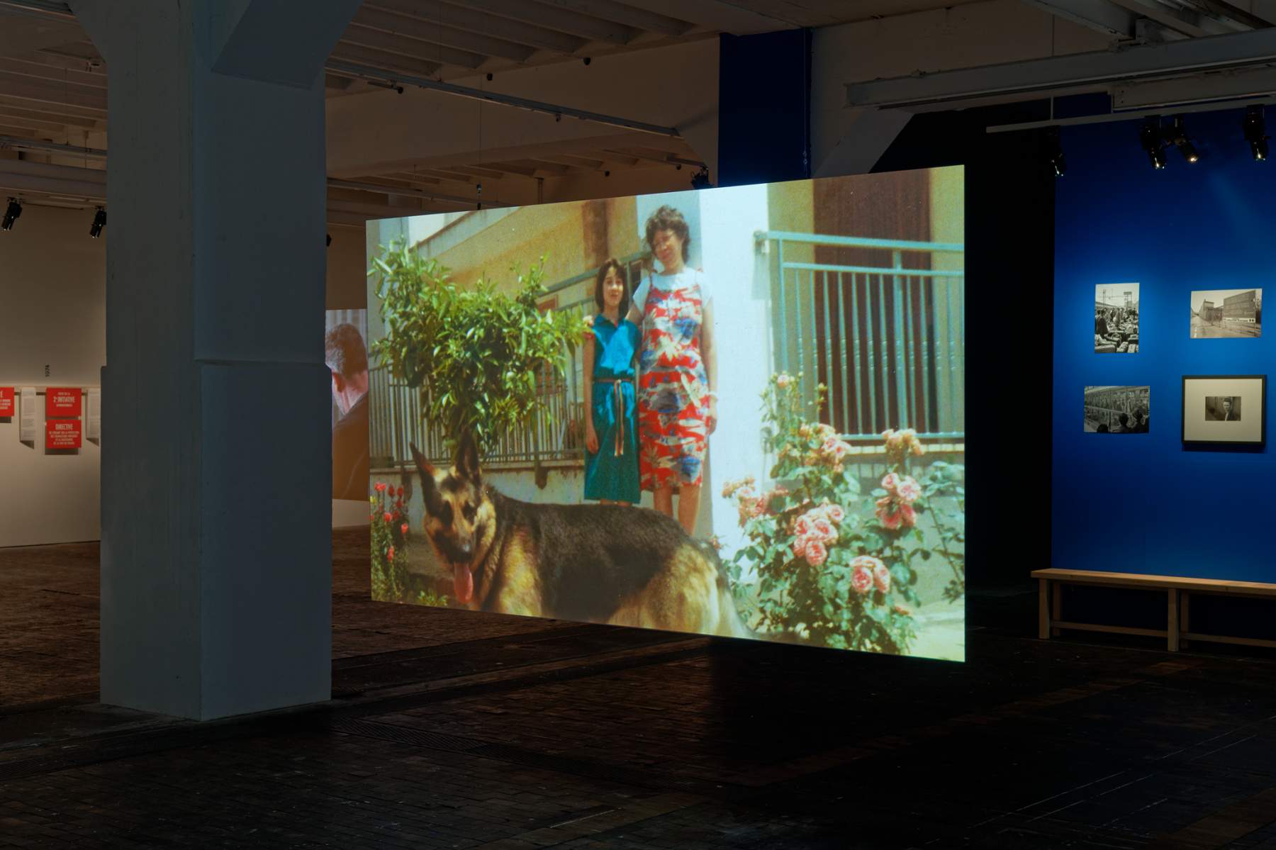 Katharine Dominicé, *Lettres ouvertes*, 2018-2022